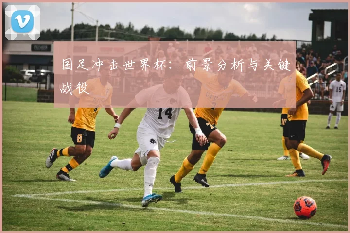 国足冲击世界杯：前景分析与关键战役