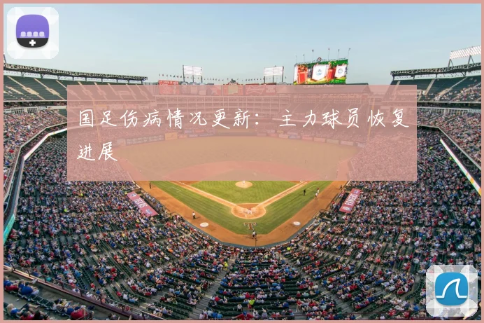 国足伤病情况更新:主力球员恢复进展