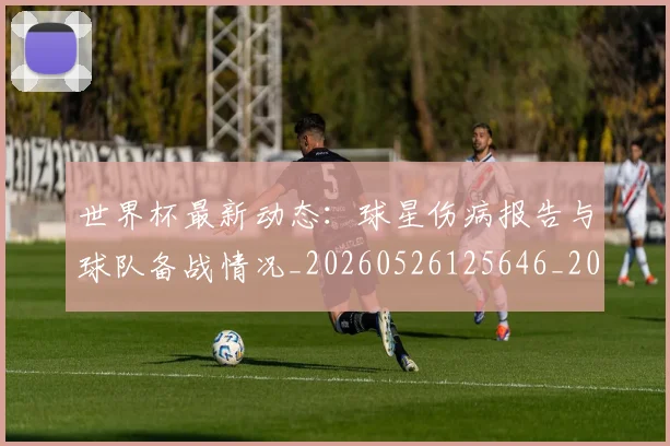 世界杯最新动态：球星伤病报告与球队备战情况_20260526125646_20260607160354